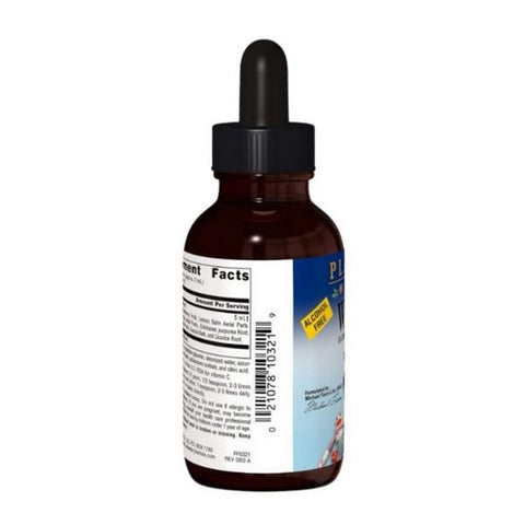 Planetary Herbals, Well Child Echinacea-Elderberry Syrup, 2 Fl Oz
