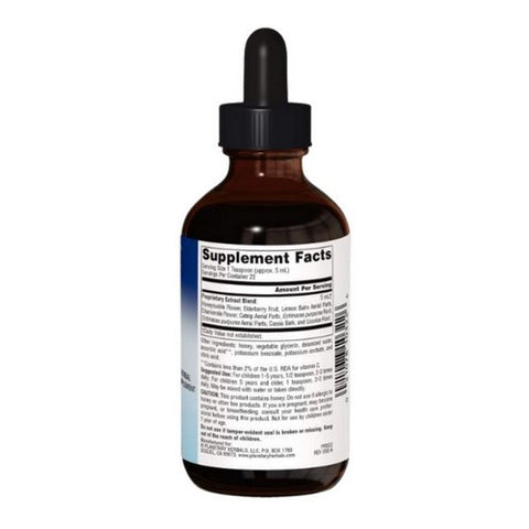 Planetary Herbals, Well Child Echinacea-Elderberry Syrup, 4 Fl Oz