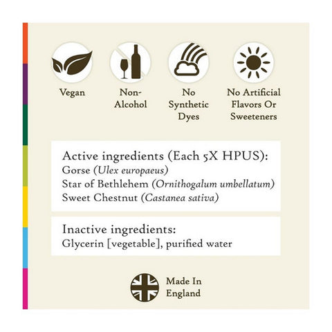 Bach, Hope And Joy Comfort Kit, 3 Count