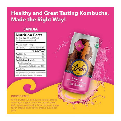 Babe Kombucha, Organic Sandia Watermelon Cucumber Flavor Can, 16 Oz (Case Of 12)