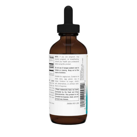 Source Naturals, Wellness Elderberry Liquid Extract, 4 oz