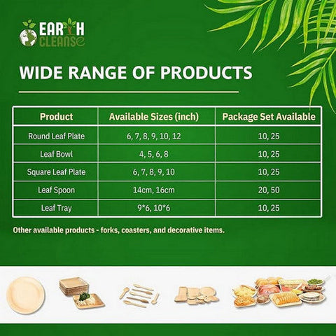 Earth Cleanse, Areca Palm Leaf Square Partition Plates 11-Inch, Pack of 25 Earth Cleanse