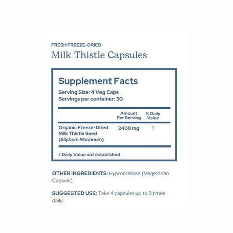 Eclectic Herb, Milk Thistle Seeds, 240 Caps