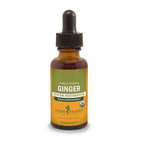 Ginger Extract 8 OZ by Herb Pharm